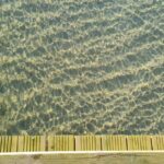 resized_40_api